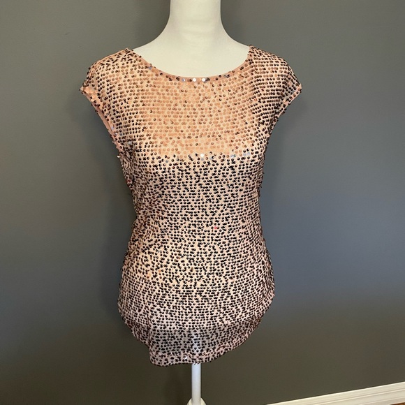 LIMITED Pink Sequin Sheer Sleeveless Blouse / Tunic - Size Small - Picture 2 of 16